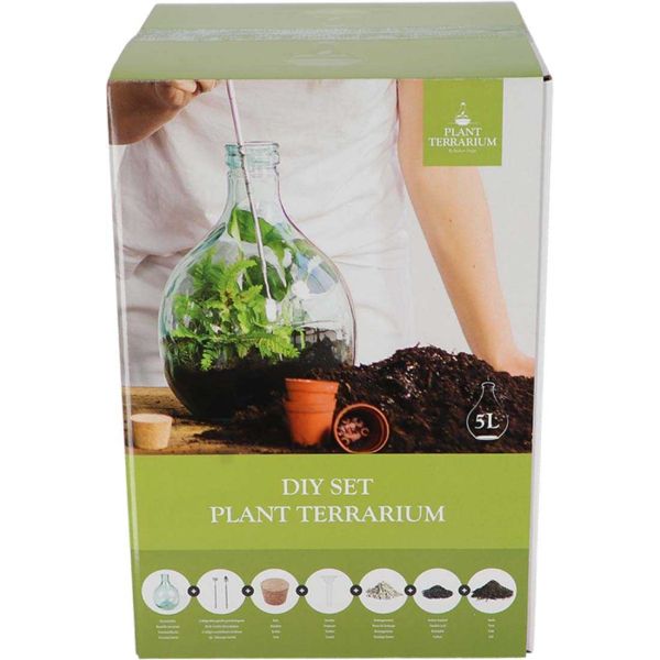 Kit terrarium végétal à faire soi-même DIY - 6