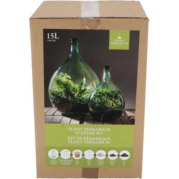 Kit terrarium végétal à faire soi-même DIY - 44,90