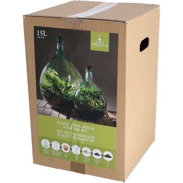 Kit terrarium végétal à faire soi-même DIY - 5