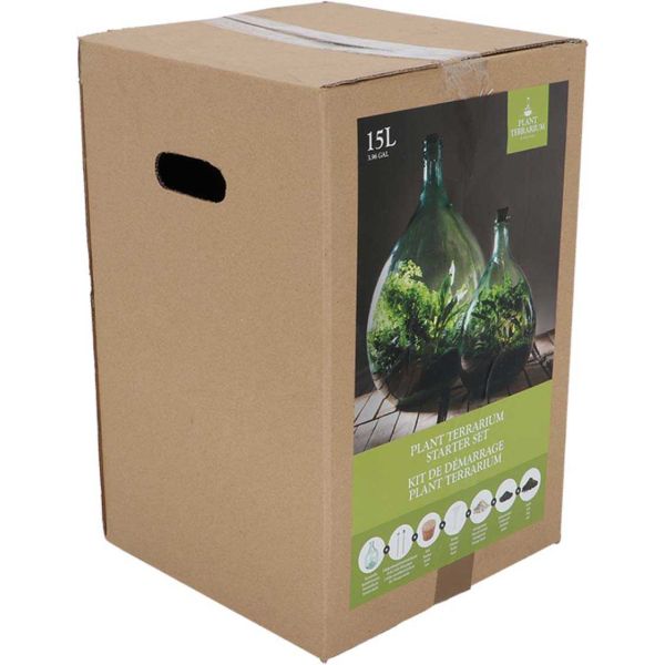 Kit terrarium végétal à faire soi-même DIY - 7