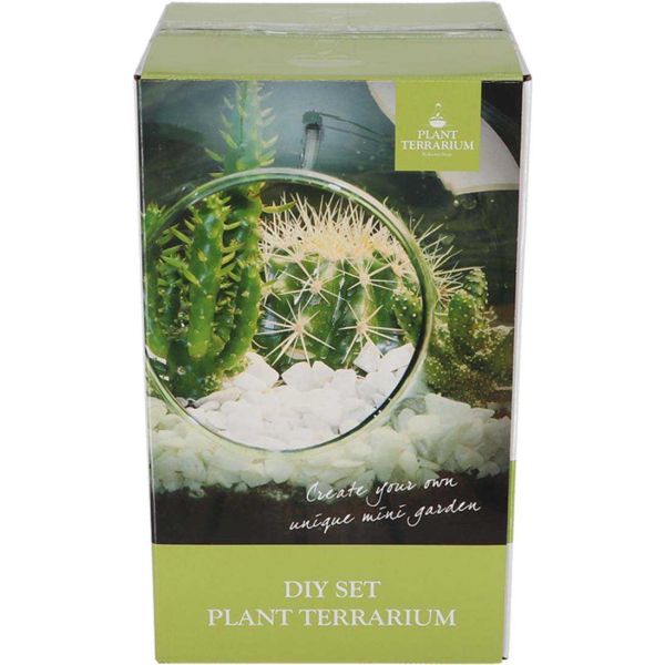 Kit terrarium végétal à faire soi-même DIY - 7