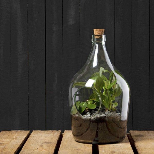 Kit terrarium végétal à faire soi-même DIY - ESSCHERTS GARDEN