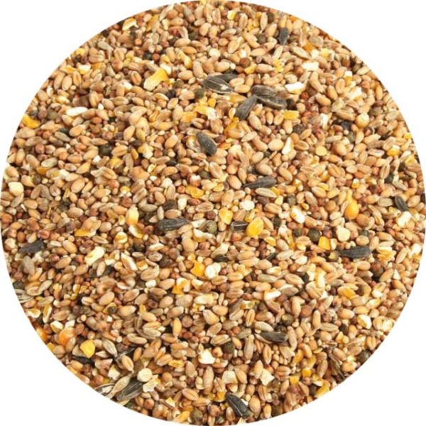 Zolux Mélange de graines pour Oiseaux de la Nature Sac de 2 kg