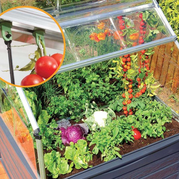 Mini-serre de jardin en aluminium et polycarbonate Plant-Inn - 8