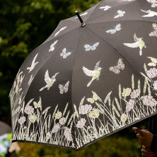 Parapluie oiseau couleurs changeantes - 7