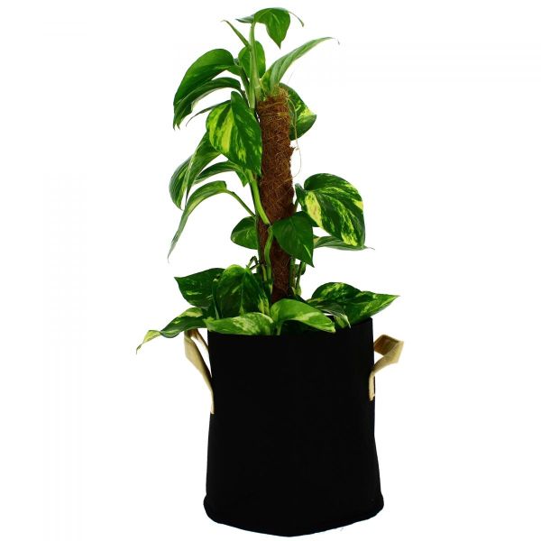 Pot de plantation textile 15 litres - 