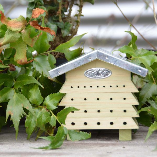 Refuge à abeilles en bois et zinc - BEST FOR BIRDS