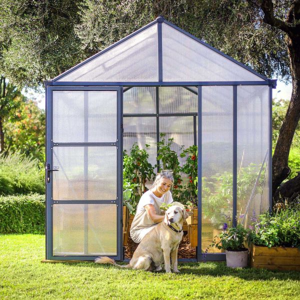 Serre de jardin en aluminium gris et polycarbonate Glory - Canopia by Palram