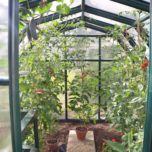 Serre de jardin en aluminium vert et polycarbonate Eco Grow - 1209