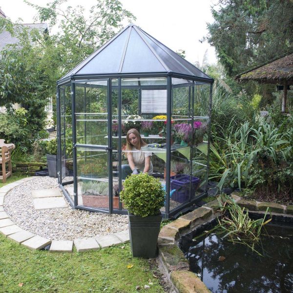 Serre de jardin hexagonale en aluminium et polycarbonate Oasis - Canopia by Palram