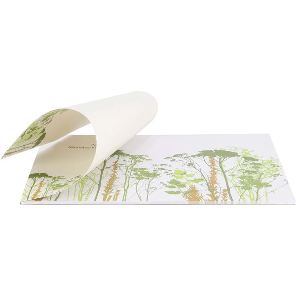 Set de table en papier Herbe (Lot de 40) - 5