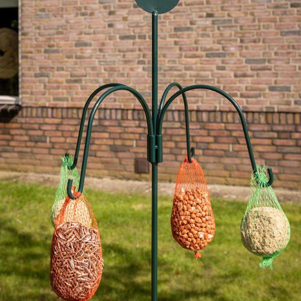 Station d'alimentation pour oiseaux à planter - 6