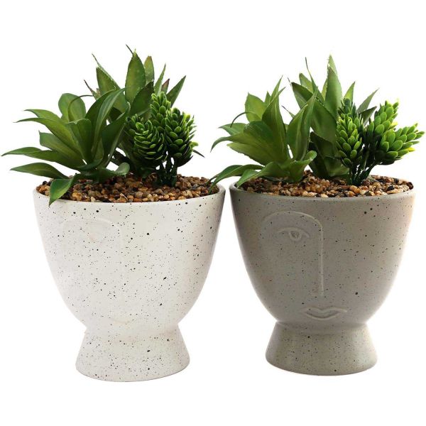 Succulente artificielle en pot Visage (Lot de 2)