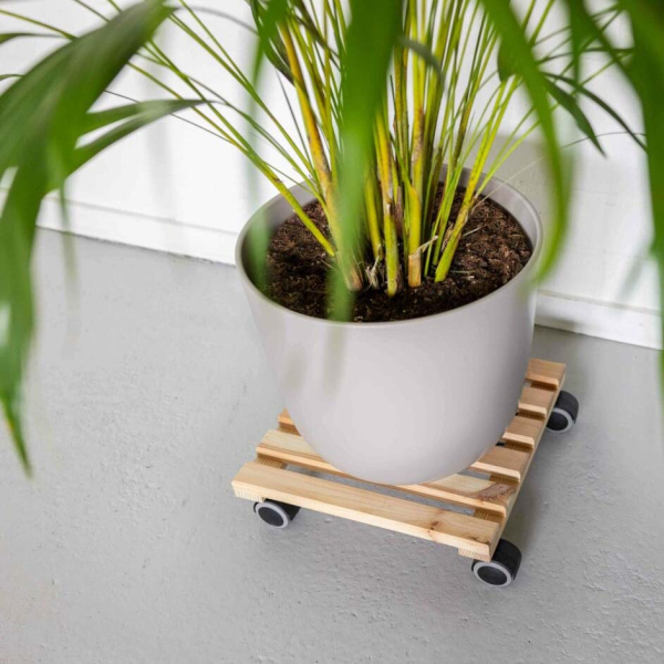 Support à roulettes en bois pour plantes d'intérieur - ESSCHERTS GARDEN