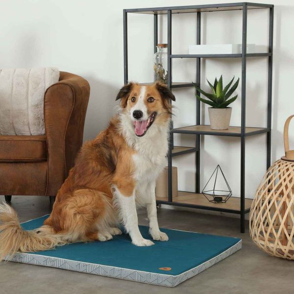 Tapis pour chiens en tissu déhoussable Kanga - ZOLUX