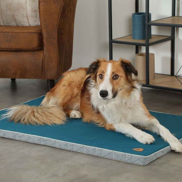 Tapis pour chiens en tissu déhoussable Kanga - 8