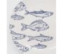 Vaisselle en porcelaine blanche Banc de Poissons - 5