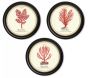 Assortiment de 3 cadres Corail