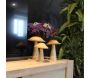 Champignon déco en manguier - 8,90