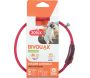 Collier lumineux pour chiots Bivouak