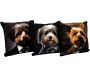 Coussin imprimé chiens Fluffy 45 x 45 cm (Lot de 3)