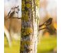 Décors de jardin en métal Oiseaux (lot de 2) - AUBRY GASPARD