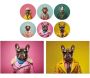 Ensemble sets de table et dessous de verre Funny Dogs