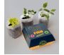 Kit de culture complet Take and plant - MAN-0139