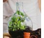 Kit terrarium végétal à faire soi-même DIY - ESSCHERTS GARDEN