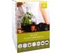 Kit terrarium végétal à faire soi-même DIY - 5