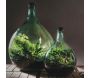 Kit terrarium végétal à faire soi-même DIY - ESSCHERTS GARDEN