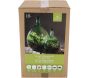 Kit terrarium végétal à faire soi-même DIY - 44,90