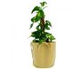 Pot de plantation en textile sable 15 litres - 