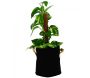 Pot de plantation textile 11 litres - 