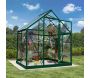 Serre de jardin en aluminium vert et polycarbonate Harmony - Canopia by Palram