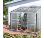 Serre de jardin en polycarbonate 4 mm et aluminium anodisé Ida - VITAVIA