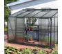 Serre de jardin en polycarbonate 4 mm et aluminium noir Ida - VITAVIA