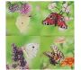 Serviette en papier de soie avec motifs (Lot de 20) - ESS-0925