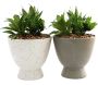 Succulente artificielle en pot Visage (Lot de 2)