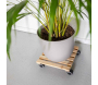 Support à roulettes en bois pour plantes d'intérieur - ESSCHERTS GARDEN