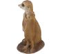 Suricates en résine 23 cm - 22,90