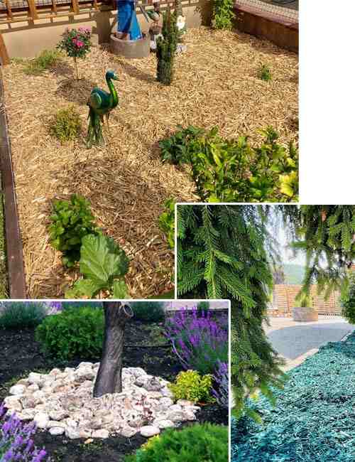 DEKOMULCH Copeaux de Bois et Paillage Naturel pour Jardins