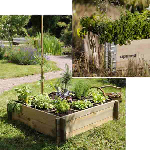 Carré potager rectangulaire : Achat jardin en carré pas cher - PRÊT A  JARDINER
