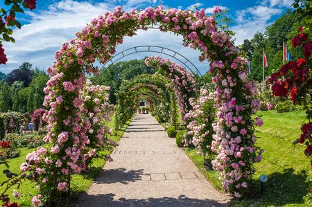 arche-de-fleurs