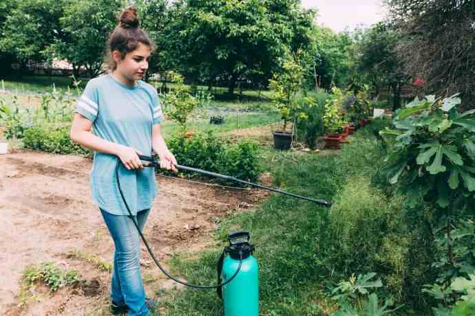 astuce-jardin-desherbant-naturel