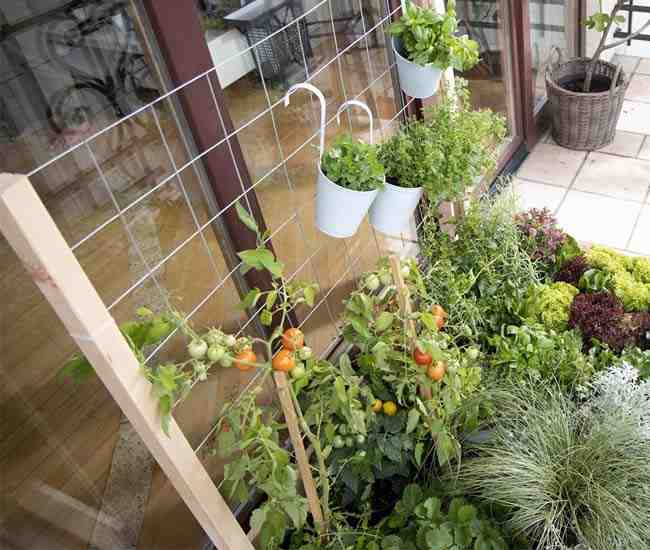 potager-vertical-balcon