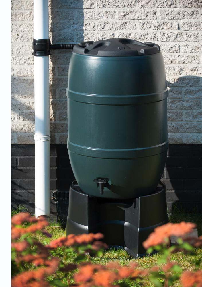arrosage-potager-recuperateur-eau-pour-potager